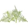 Click & Grow Smart Refill Feather spar 3stk Kit Til Plante- & Urtedyrkning