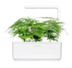Click & Grow Smart Refill Feather spar 3stk Kit Til Plante- & Urtedyrkning