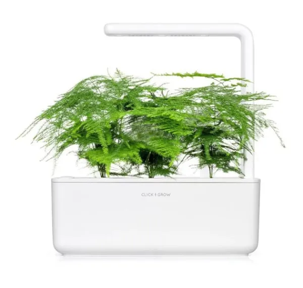 Click & Grow Smart Refill Feather spar 3stk Kit Til Plante- & Urtedyrkning