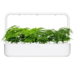 Click & Grow Smart Refill Feather spar 3stk Kit Til Plante- & Urtedyrkning