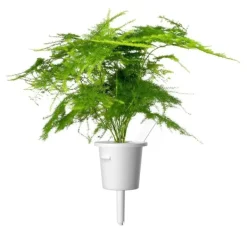 Click & Grow Smart Refill Feather spar 3stk Kit Til Plante- & Urtedyrkning