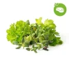 Kit Til Plante- & Urtedyrkning^Click and Grow Smart Garden Refill 9-pack Grill & Steak Mix