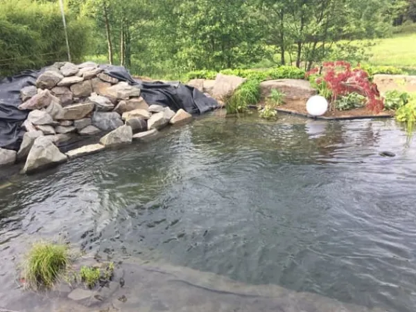 Springvand & Damme^Dam liner PVC 3 m x 6 m 0,5 mm Sort Have dam liner