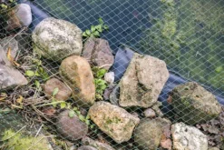 Springvand & Damme^Damnet 33 m x 12 m Bladnet Net Bladbeskyttelsesnet robust