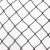 Clearance Damnet 5 m x 8 m Sort fiskedamsnet Bladnet Net Fuglebeskyttelsesnet robust Til Fugle & Småvildt