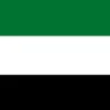 Discount De Forenede Arabiske Emiraters flag Flag & Vindposer