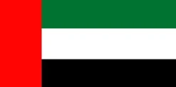 Discount De Forenede Arabiske Emiraters flag Flag & Vindposer