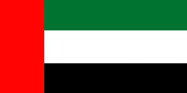Discount De Forenede Arabiske Emiraters flag Flag & Vindposer