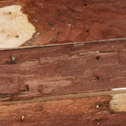 Clearance Dekorativt fuglehus, 14.5x10.5x7.5 cm, naturtræ Til Fugle & Småvildt