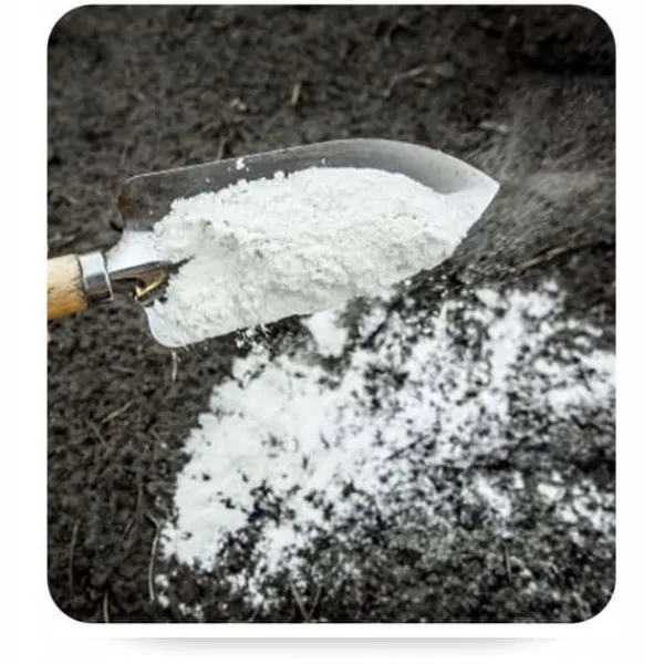 Discount DOLOMIT Calcium-Magnesium Gødningspulver 10 kg BIOVITA Gødningsmidler