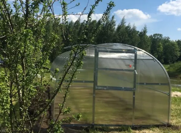 Online Drivhus BALTIC 3x10m med 6 mm polycarbonatbelægning Drivhus