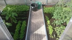 Outlet Drivhus Klasika 3x10m med 4 mm polycarbonatbelægning Drivhus