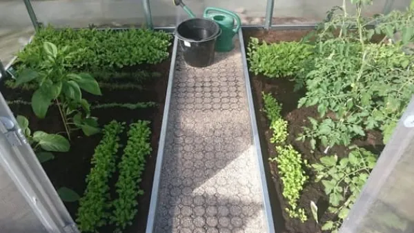 Outlet Drivhus Klasika 3x10m med 4 mm polycarbonatbelægning Drivhus