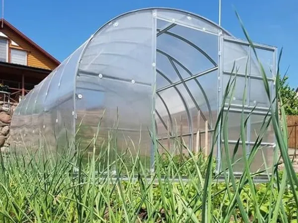 Baumera Drivhus^Drivhus Klasika 3x4m med 4 mm polycarbonatbelægning