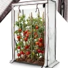 New Drivhus til tomater 100 x 50 x 150 cm Drivhus