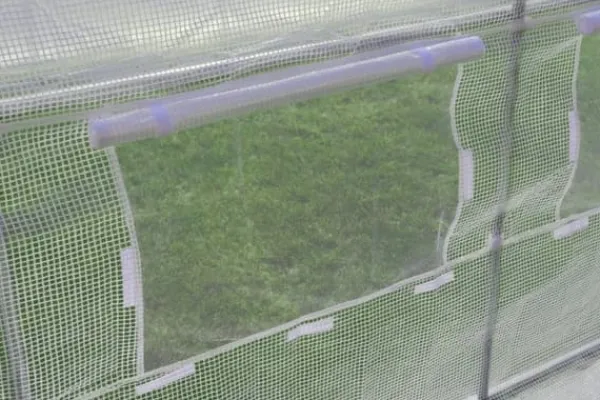 Viking Choice Drivhus^Drivhus 3x2x2 meter - hvidt - med 6 myggenet vinduer - 6m2