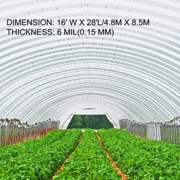 Drivhusfilm 16x28 fod, UV-bestandig 6 Mil polyethylen, høj styrke og seje, ideel til opvarmning i drivhuse. Drivhus
