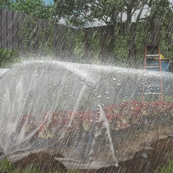Outlet Drivhusfolie 6x10 m, vandtæt med UV-beskyttelse, ekstra tyk, transparent Drivhus