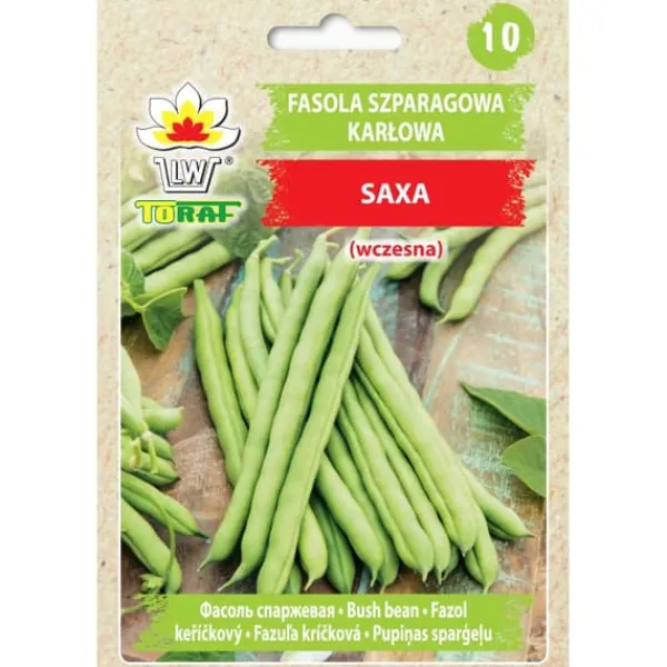 Frø^Dværggrønne bønner SAXA 30g