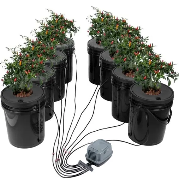 Kit Til Plante- & Urtedyrkning^DWC Hydroponics dyrkessystem, Deep Water Culture, 8 spande med luftpumpe, effektiv vandkultur, let at bruge