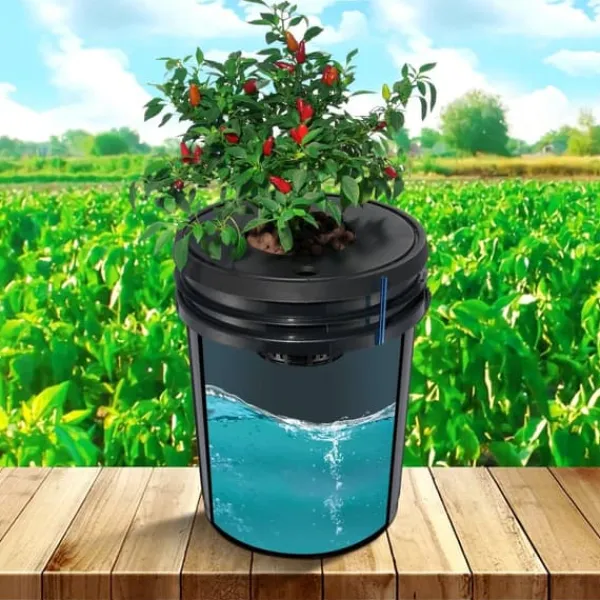 Kit Til Plante- & Urtedyrkning^DWC Hydroponics dyrkessystem, Deep Water Culture, 8 spande med luftpumpe, effektiv vandkultur, let at bruge