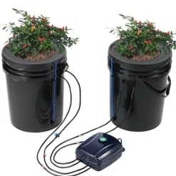 Kit Til Plante- & Urtedyrkning^DWC Hydroponics Vækstsysten, Dybvandskultur med Top Drip, 2 Spande, Effektiv Vanding, Robust Design