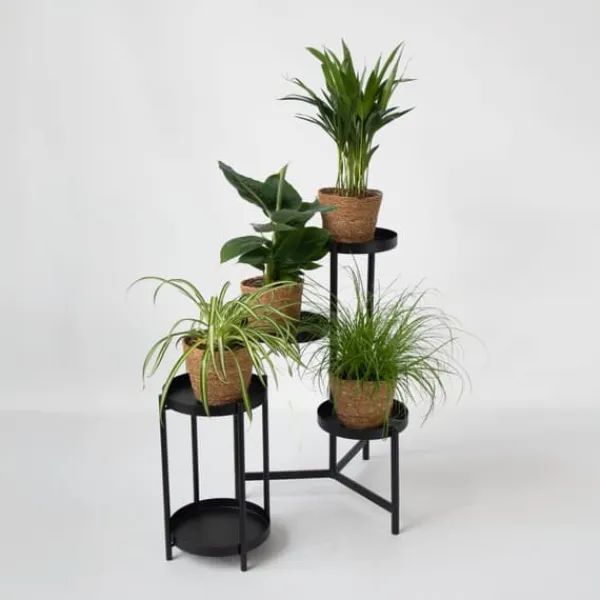 Krukkeplanter Indendørs^Dyrevenlige planter - Sæt 4 m. kurve - H.25-40cm - ⌀12cm
