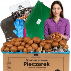Hot Dyrkningssæt til brune svampemycelier, 8 kg, instruktioner + gratis Kit Til Plante- & Urtedyrkning