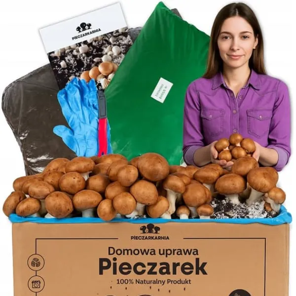 Hot Dyrkningssæt til brune svampemycelier, 8 kg, instruktioner + gratis Kit Til Plante- & Urtedyrkning