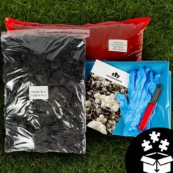 Hot Dyrkningssæt til brune svampemycelier, 8 kg, instruktioner + gratis Kit Til Plante- & Urtedyrkning