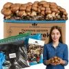 Kit Til Plante- & Urtedyrkning^Dyrkningssæt til brune svampemycelier 5 kg hjemmedyrkning + gratis