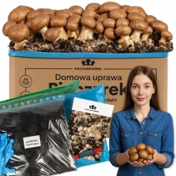 Kit Til Plante- & Urtedyrkning^Dyrkningssæt til brune svampemycelier 5 kg hjemmedyrkning + gratis