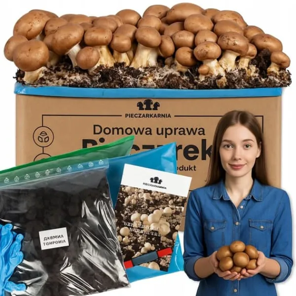 Kit Til Plante- & Urtedyrkning^Dyrkningssæt til brune svampemycelier 5 kg hjemmedyrkning + gratis