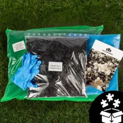 Kit Til Plante- & Urtedyrkning^Dyrkningssæt til brune svampemycelier 5 kg hjemmedyrkning + gratis