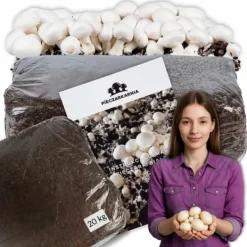 Kit Til Plante- & Urtedyrkning^Dyrkningssæt til hvide svampe, 20 kg balle, 3-faset myceliumsubstrat, testet