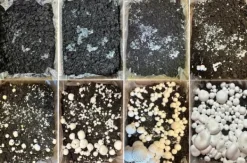 Kit Til Plante- & Urtedyrkning^Dyrkningssæt til hvide svampe, 20 kg balle, 3-faset myceliumsubstrat, testet