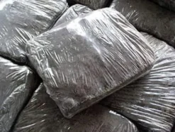 Kit Til Plante- & Urtedyrkning^Dyrkningssæt til hvide svampe, 20 kg balle, 3-faset myceliumsubstrat, testet