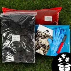 Outlet Dyrkningssæt til svampemycelium, 8 kg, instruktioner til hjemmedyrkning + gratis gave Kit Til Plante- & Urtedyrkning