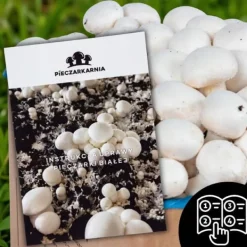 Outlet Dyrkningssæt til svampemycelium, 8 kg, instruktioner til hjemmedyrkning + gratis gave Kit Til Plante- & Urtedyrkning
