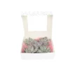 Online Echeveria DIY Mix - Sæt med 5 - Echeveria lilacina - Højde 7cm Krukkeplanter Indendørs