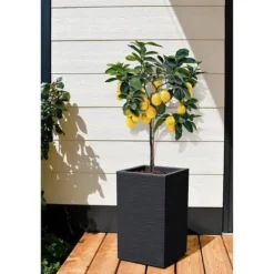 Clearance EDA Graphit Up Fyrkantig blomlåda - 36 L - 29.5 x 29.5 cm x 49.5 cm - Charcoal Grey Krukker & Plantebeholdere