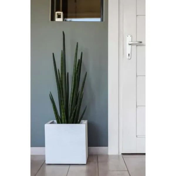 Krukker & Plantebeholdere^EDA PLASTIQUE Graphit Up fyrkantig blomma låda - 21 L - 29,5 x 29,5 x 29,5 cm - Vit cerusie