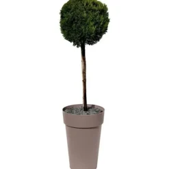 Krukker & Plantebeholdere^EDA Potte/Høj Vase TOSCANE - 67 L - Ø 46 x H 65 cm - Taupe