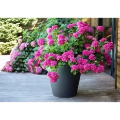 EDA Rund urtepotte TOSCANE - 76 L - Ø 60 x H 47 cm - Antracitgrå Krukker & Plantebeholdere