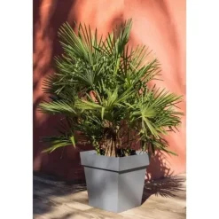 Krukker & Plantebeholdere^EDA Toscana fyrkantig kruka - 50 cm - 87 L - Antracitgrå