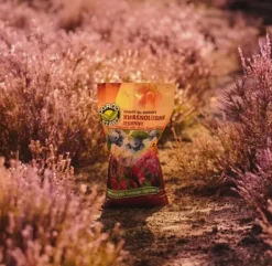 Gødningsmidler^Efterårsgødning til syreelskende planter GardenStart 5kg