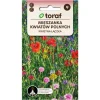 Frø^Engblomstfrø Mix - Naturlige og farverige engblomster