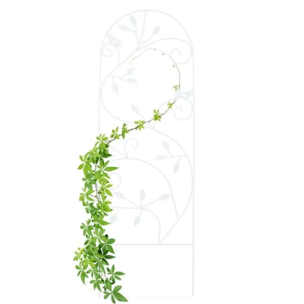 Best Espalier, 120x40x0,5 cm, Kodustaar Buer, Spalier, Lysthuse Uden Tag