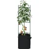 Clearance Espalierer med planteposer 4 stk - Justerbare tomatstativ i stål | Højde: 116 cm Kit Til Plante- & Urtedyrkning