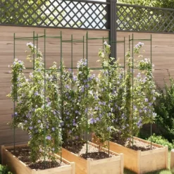 Hot Espalierer til tomater - Justerbare stålstøtter, 6 stk. | Højde: 154 cm | Materiale: PP Krukker & Plantebeholdere
